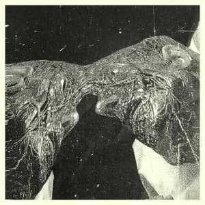 Secret Boyfriend ‎- Memory Care Unit Vinyl