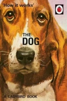 The Dog by Jason Hazeley Hardback