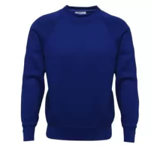 Absolute Apparel Childrens/Kids Sterling Sweat (7-8 Years (128cm)) (Royal)