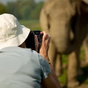 Red Letter Days Safari Park Photography