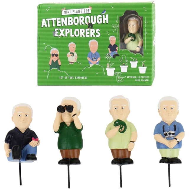 Gift Republic Attenborough Explorer Plant Markers Multi