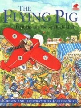 The Flying Pig by Jocelyn Wild Book