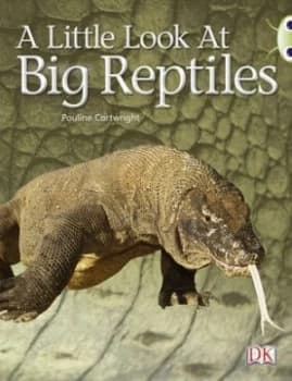 A Little Look at Big Reptiles by Pauline Cartwright Paperback