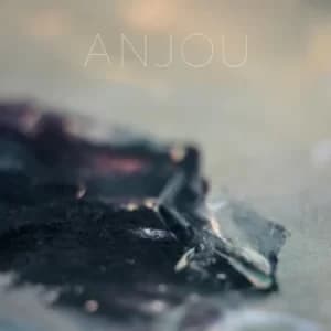 Epithymia by Anjou CD Album