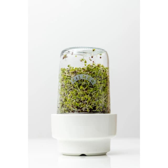 Kilner Seed Sprouting Set Clear unisex One