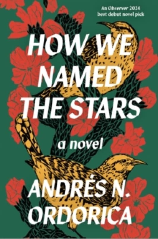 How We Named the Stars Paperback / softback