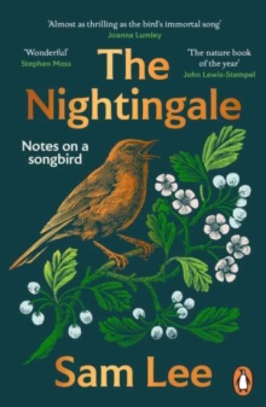 The Nightingale : The nature book of the year Paperback / softback