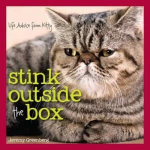 Stink Outside the Box by Jeremy Greenberg Hardback
