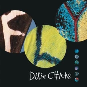 Dixie Chicks - Fly Vinyl