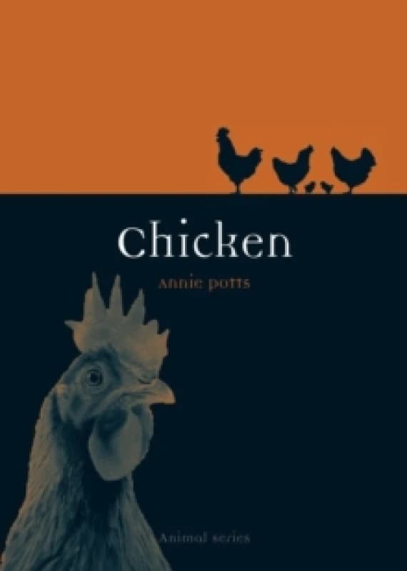 Chicken Paperback / softback