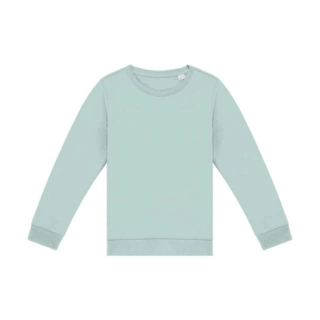 Native Spirit PC5120 boys's Children's sweater in Multicolour