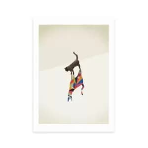 East End Prints Cat 2 Print Blue/Pink/Yellow