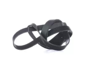 SKF V-ribbed belt MERCEDES-BENZ,JEEP,CHRYSLER VKMV 7PK2035 04891587AA,04891587AA,5175961AA K04891587AA,K04891587AB,K05175961AA,0009970196,0019937596