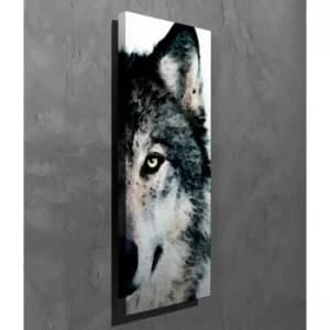 PC258 Multicolor Decorative Canvas Painting