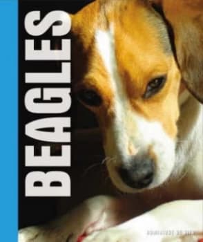 Beagles by Dominique De Vito Hardback