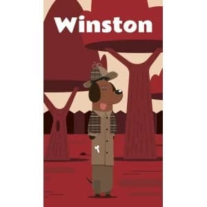 Winston Card Game
