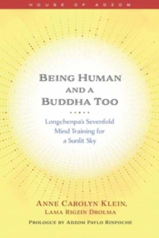 Being Human and a Buddha Too : Longchenpa's Seven Trainings for a Sunlit Sky Paperback / softback