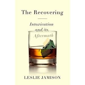The Recovering Intoxication and its Aftermath Hardback 2018