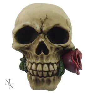 Romance Never Dies Skull