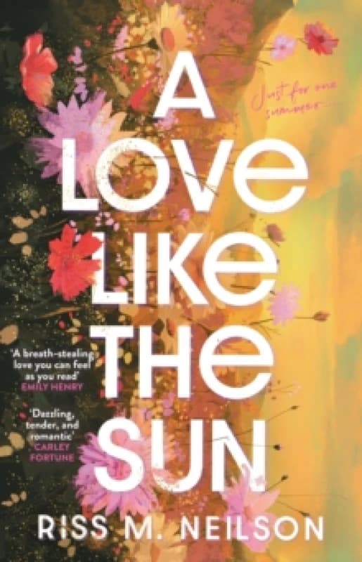 A Love Like the Sun : The tender and unforgettable romantic debut Paperback / softback
