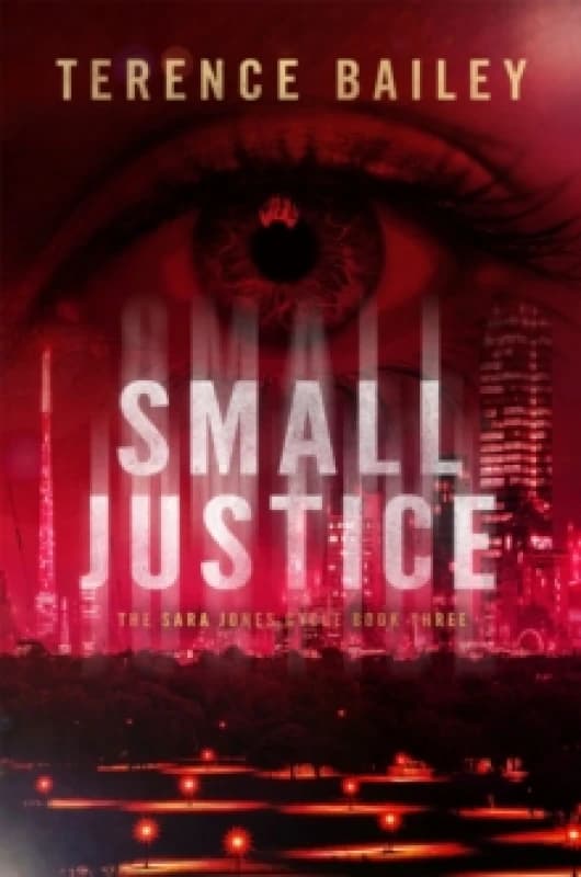Small Justice : The Sara Jones Cycle Paperback / softback
