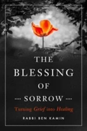 blessing of sorrow turning grief into healing