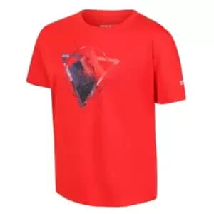 Regatta Alvarado VI T-Shirt - Red