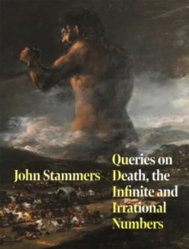 Queries on Death, the Infinite and Irrational Numbers. Paperback. By John Stammers Books