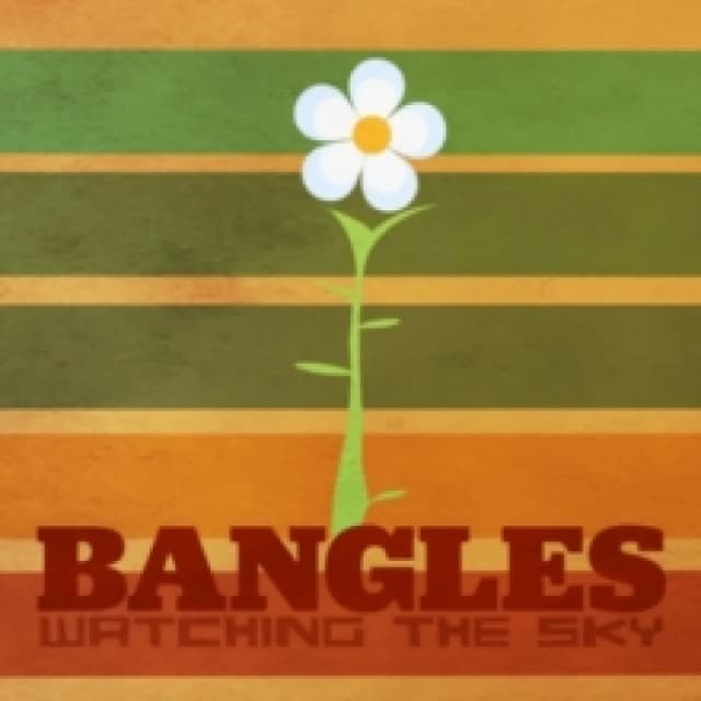 Watching the Sky: The Bangles Box Set CD / Box Set