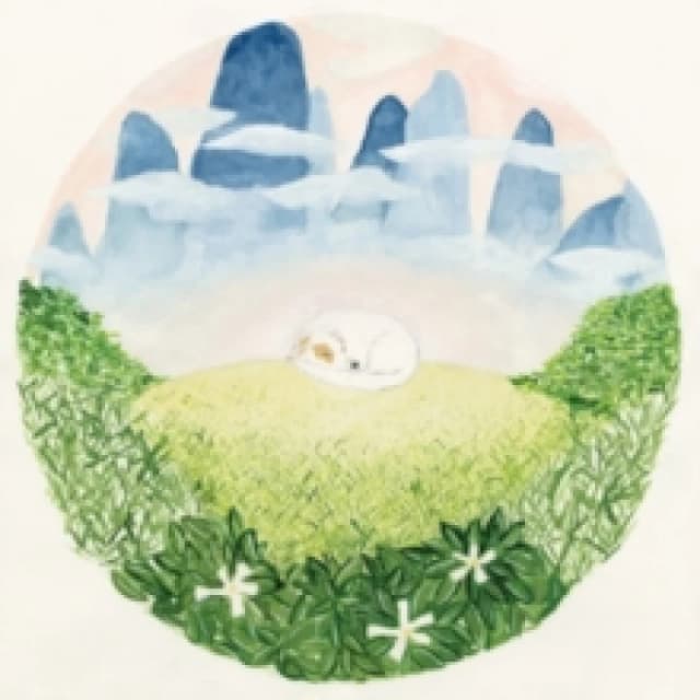 Songs for sleeping dogs CD / Album