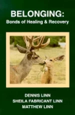 belonging bonds of healing and recovery
