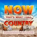 Various Artists - NOW Thats What I Call Country (Music CD)