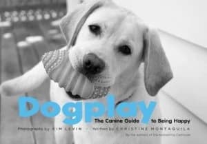 Dogplay by Kim Levin Hardback