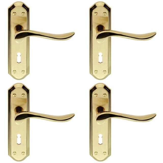 Loops 4x PAIR Curved Lever on Sculpted Edge Backplate 180 x 48mm Satin/Polished Brass Metallics