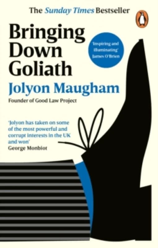 Bringing Down Goliath. Paperback. By Jolyon Maugham Books