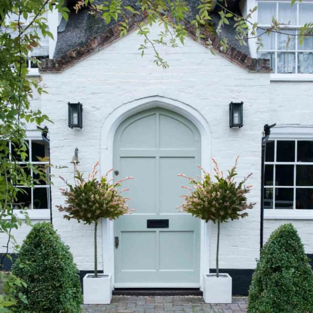 Thompson & Morgan Salix Flamingo Tree - 17Cm Potted Plant (Standard) X 1 - Ideal For Containers & Garden Borders