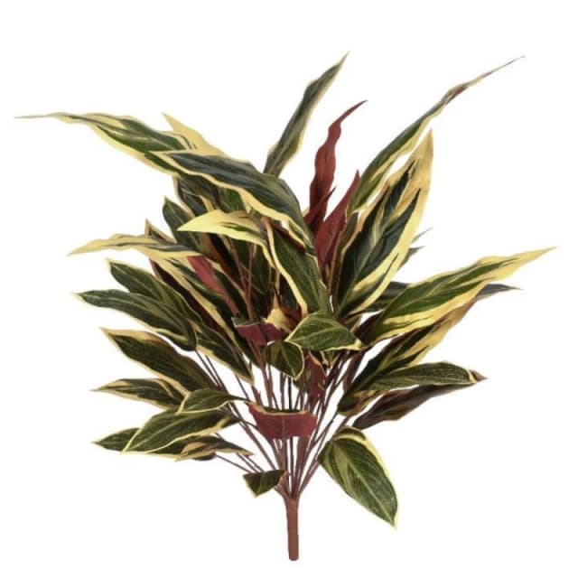 N/A 90cm Fire Retardant Caladium Bush with white edge x15w/49Lvs