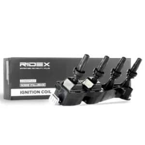 RIDEX Ignition coil 689C0076 Coil pack,Ignition coil pack PEUGEOT,CITROEN,206 Schragheck (2A/C),206 CC (2D),207 (WA_, WC_),307 CC (3B),307 SW (3H)
