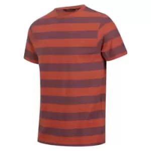 Regatta Ryeden Striped Tshirt - BkCly/DkDnSt