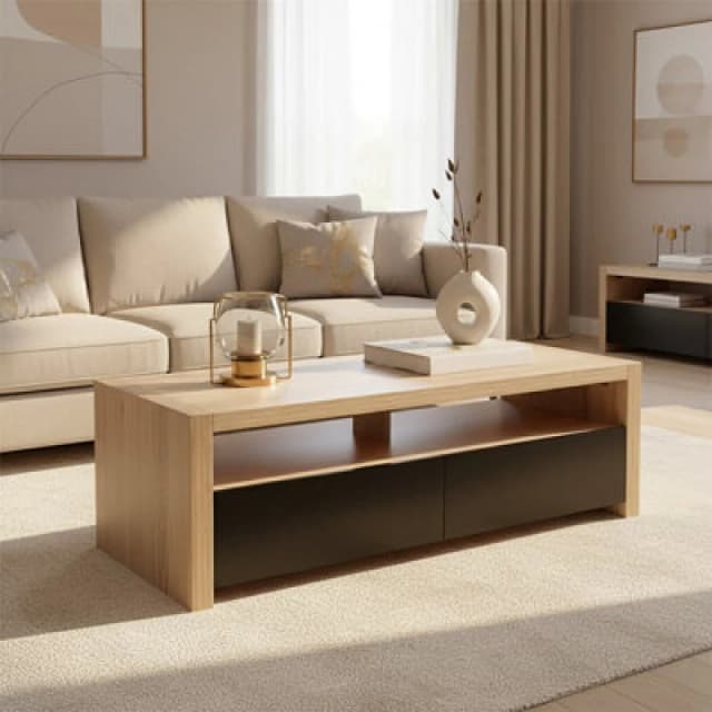 Premier Housewares Interiors by Premier 2 Drawers And 1 Shelf Coffee Table, Modern Coffee Table That Has Storage, Wooden Coffee Table For Home Natural