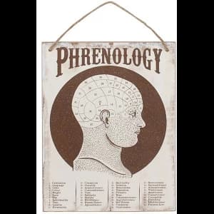 Phrenology Wall Sign