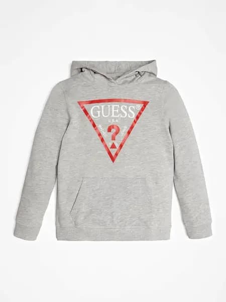 Guess Kids Triangle Logo Hoodie Sweatshirt 14390781 Grey