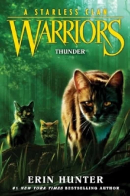 Warriors: A Starless Clan #4: Thunder Paperback / softback