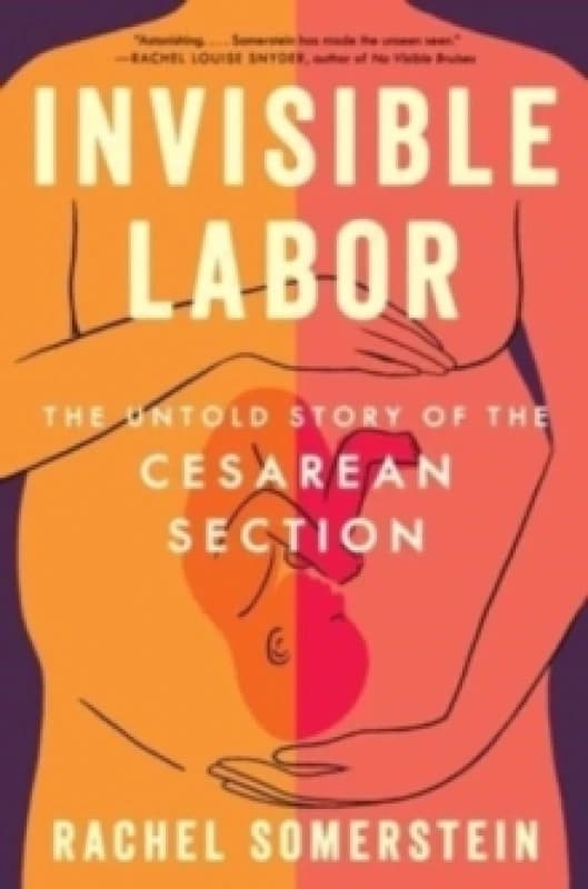 Invisible Labor. Paperback. By Rachel Somerstein Books