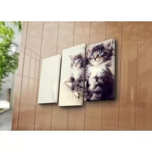 3NATPAT-20 Multicolor Decorative Canvas Painting (3 Pieces)