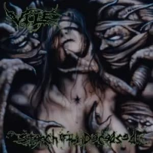 Stench of the Deceased by Vile Vinyl Album