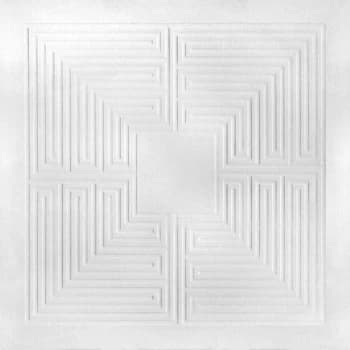 These New Puritans - Hidden 10th Anniversary Edition Vinyl