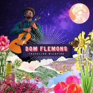 Traveling Wildfire by Dom Flemons CD Album