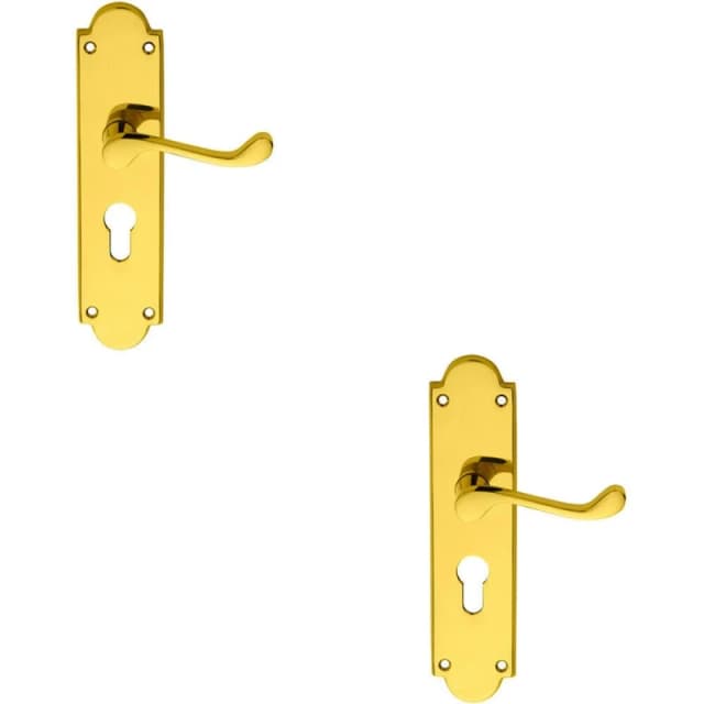 Loops 2x PAIR Victorian Scroll Lever on Euro Lock Backplate 205 x 49mm Polished Brass Metallics