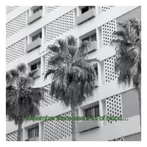 Glitches and Drones 2013-2016 by The Bunny Tylers CD Album